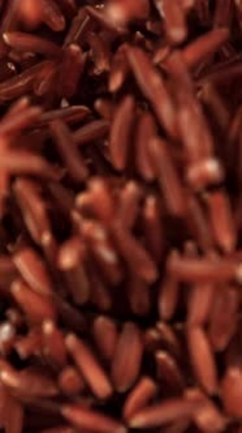 Red Rice Flies Up and Falls Down Filmed on a Highspeed Camera at 1000 Fps