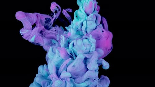 Colorful Inks Swirling and Mixing Abstractly on Black