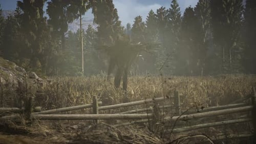 Scarecrow on the Old Village Field