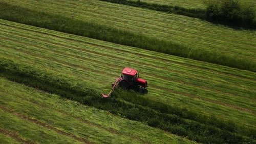 Agronom auf Traktor und Mähmaschine mäht frisches grünes Gras für Silage, Viehfutter oder Heubauernarbeit