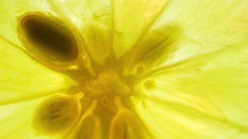 Macro video, half green lemons come to life.