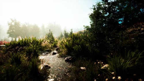 La luz del sol matutino se filtra a través de una exuberante vegetación a lo largo de un sinuoso sendero forestal