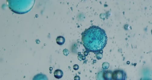 Slow motion macro of blue micro particles molecules in a liquid are analyzed with microscope for r