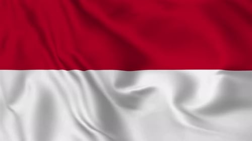 Red and White Waving Flag Realistic Fabric Seamless Loop