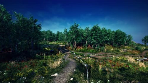 Tree Forrest in the Mountains