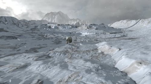 Polar bear walking alone in snowy arctic landscape, aerial