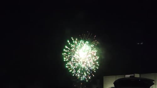 Colorful Fireworks Exploding at Night