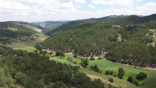 Vue aérienne des collines forestières et de la route de montagne