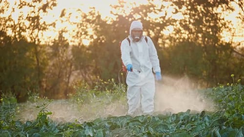 Der Landwirt begast in Schutzanzug und Atemschutzmaske Ein Mann versprüht giftige Pestizide