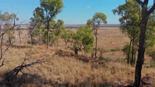 Aerial view of outback landscape with trees, Australia.
