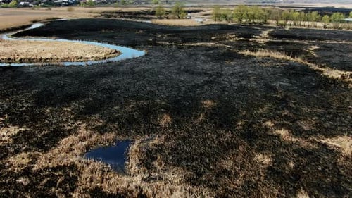 Aerial View of Burnt Wetlands with Patches of Water