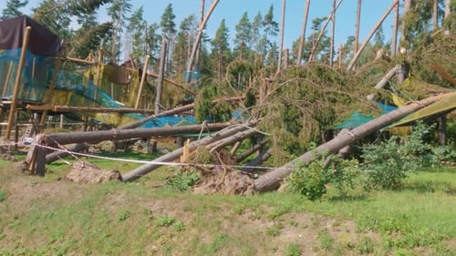 A Ruined Amusement Park After a Storm. Fallen Trees. Broken Forest After Powerful Hurricane