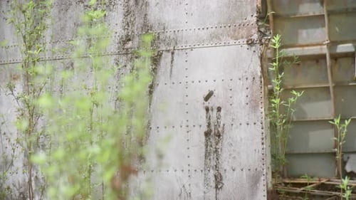 Rusted Metal Remains Overgrown by Plants