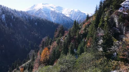 Aerial View of Mountains with Colorful Fall Trees