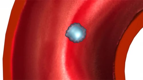 Mikroskopische Zelle, die durch ein menschliches Arteriengefäß wandert