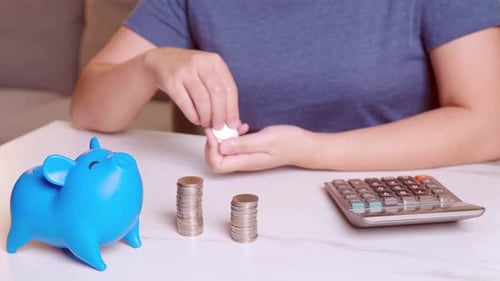Women using calculators and putting coins in a piggy bank, saving money concept. Future needs loan e