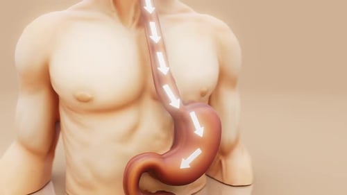 Conceptual 3D animation of a man showing stomach anatomy