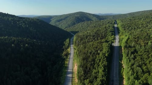 Mountain Road Through Green Forest Aerial View