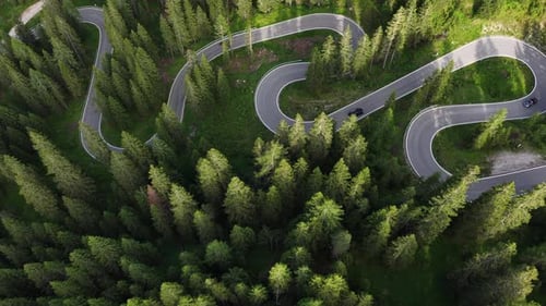 Winding Mountain Road Cuts Through Lush Forest Landscape in Bright Daylight