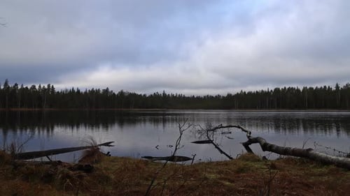 time lapse over a lake with dead trees on the shore at sunset. A forest in the background