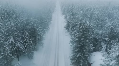 Cars Driving on Empty Snow Covered Road During Winter Blizzard Hazardous Road