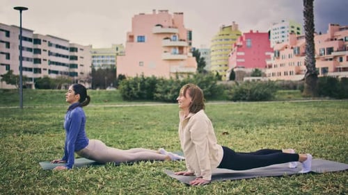 Yogini Bending Exercises in City Park Relaxed Sports Women Practicing Yoga
