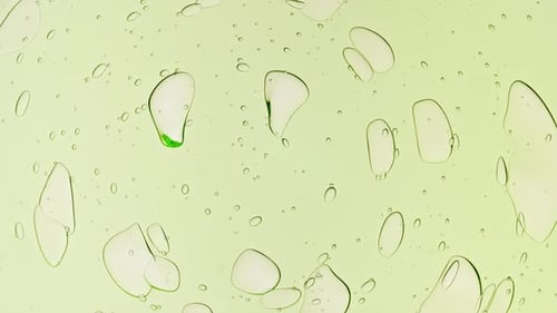 Translucent Liquid Globules Shifting on Green