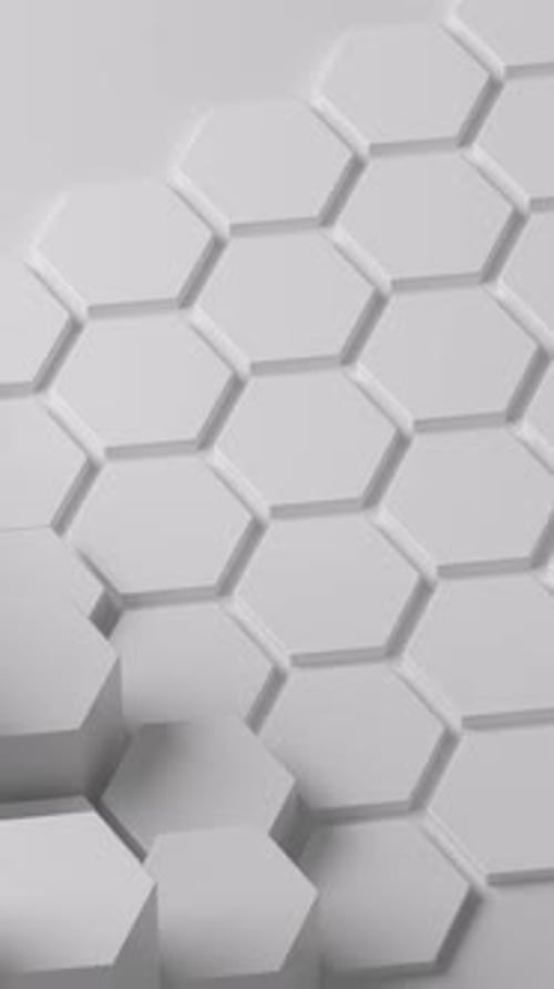 White hexagon honeycomb shapes