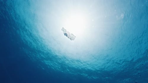 Plastic in the Sea Underwater View of the Tiny Plastic Bag Floating in the Calm Tropical Sea in the