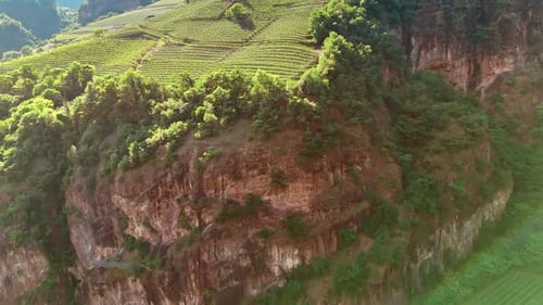 Flying close to bare cliffs with lush greenery on top. Vast vineyards grow on the mountains.