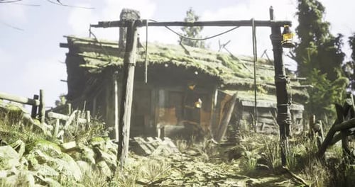 Old Wooden Cabin in a Lush Forest Under Bright Midday Sunshine