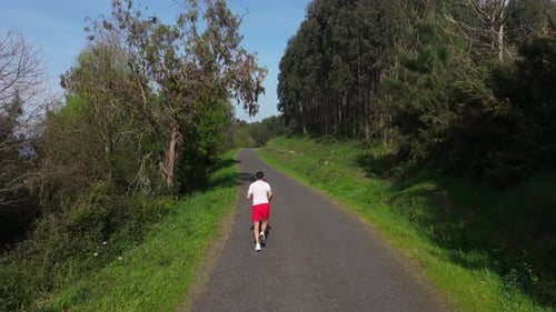 Back View Of Man Jogging On Paved Forest Trail Surrounded By Lush Greenery And Tall Trees. tracking