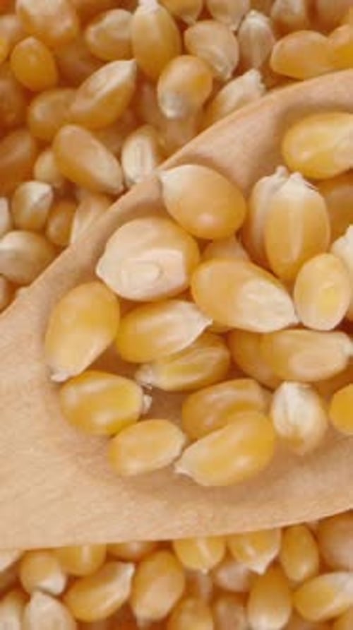Vertical video. A wooden spoon with corn kernels slowly rises upward.