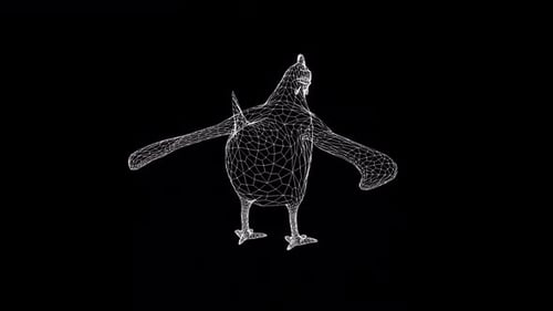 Hen Wireframe