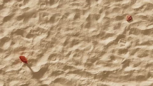 Beach Sand and Seashells Slow Camera Motion Loop