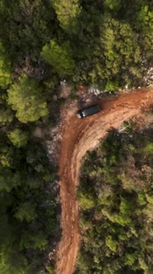 Vertical Video Aerial View of Enigmatic Green Forest Cinematic Drone Shots for Social Media Projects
