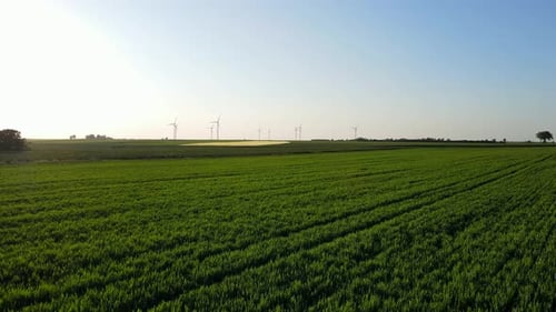 Wind Turbines in Agricultural Field Renewable Energy Concept