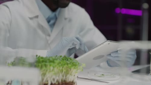 Black Botanist Working on Digital Tablet at Laboratory Desk