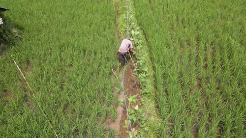 Shot above a farmer working the land in a field.