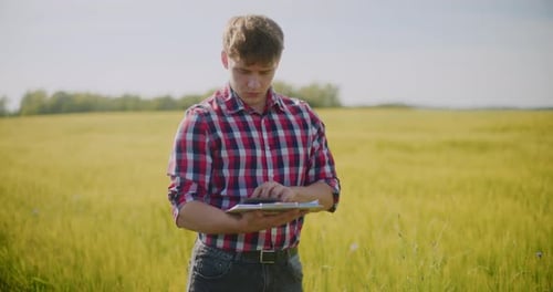 Farmer Examining Crops Wheat Field Agriculture Harvesting