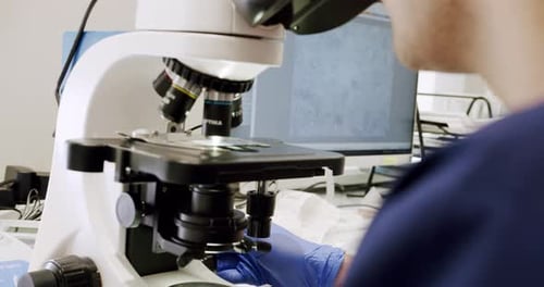 Le médecin examine les échantillons de sperme au microscope