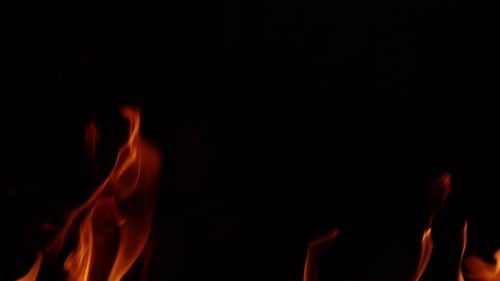 Orange Flames Rising on Black Background