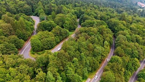 Winding forest roads viewed from above. Curved roads weave through dense green woodland