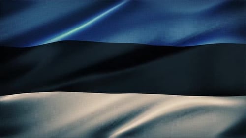 Estonian National Flag Realistic Waving Loop Animation