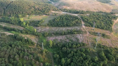 Aerial Destroyed Forest