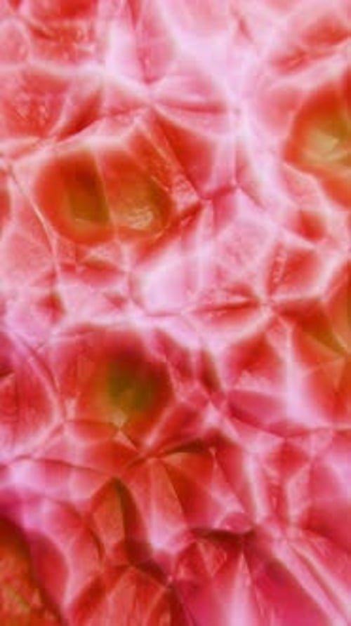 Vibrant Red Abstract Background Showcasing Morphing Organic Shapes