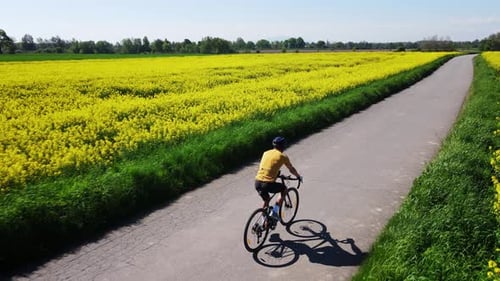 Cyclist Riding Bicycle on Countryside Road Near Rapeseed Fields