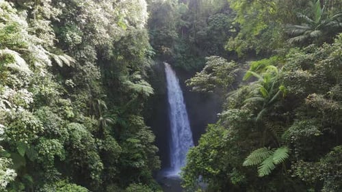 Jungle Corridor Framing Tall Bali Waterfall Plunging Into Shadowed Basin