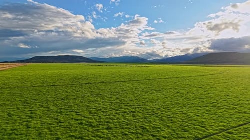 Aerial drone flying over lush green pasture in rural New Zealand
