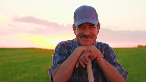 Agriculture Farming Old Male Farmer in the Field Smiling at Camera